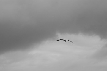 DSC08961-18