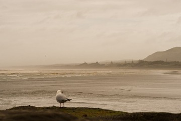 DSC09033-26