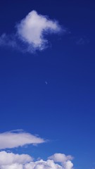 3E8E30A8-7D6C-4895-8088-1D14204B01EC/L0/001