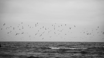 5B95AC31-4FCD-4130-84EF-9703464C9E2A/L0/001