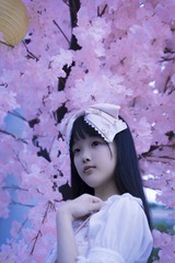 DSC06549-2