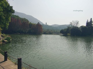 CIMG1619_副本.jpg