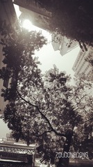 CIMG2012_副本_副本.jpg