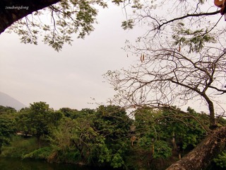 CIMG2417_副本.jpg