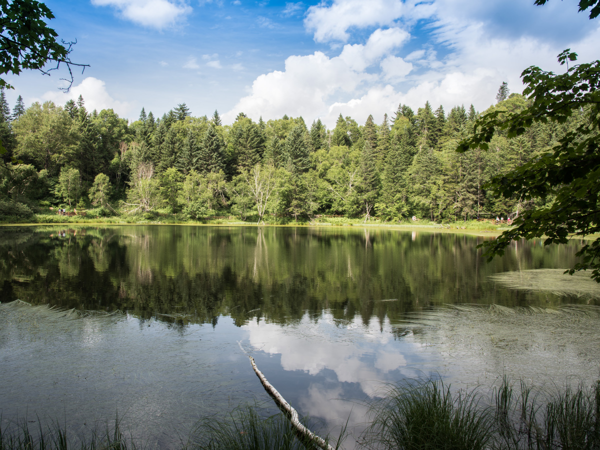 风光旅行纪实尼康 48 打开微信,使用"扫一扫"即可将网页分享之朋友圈