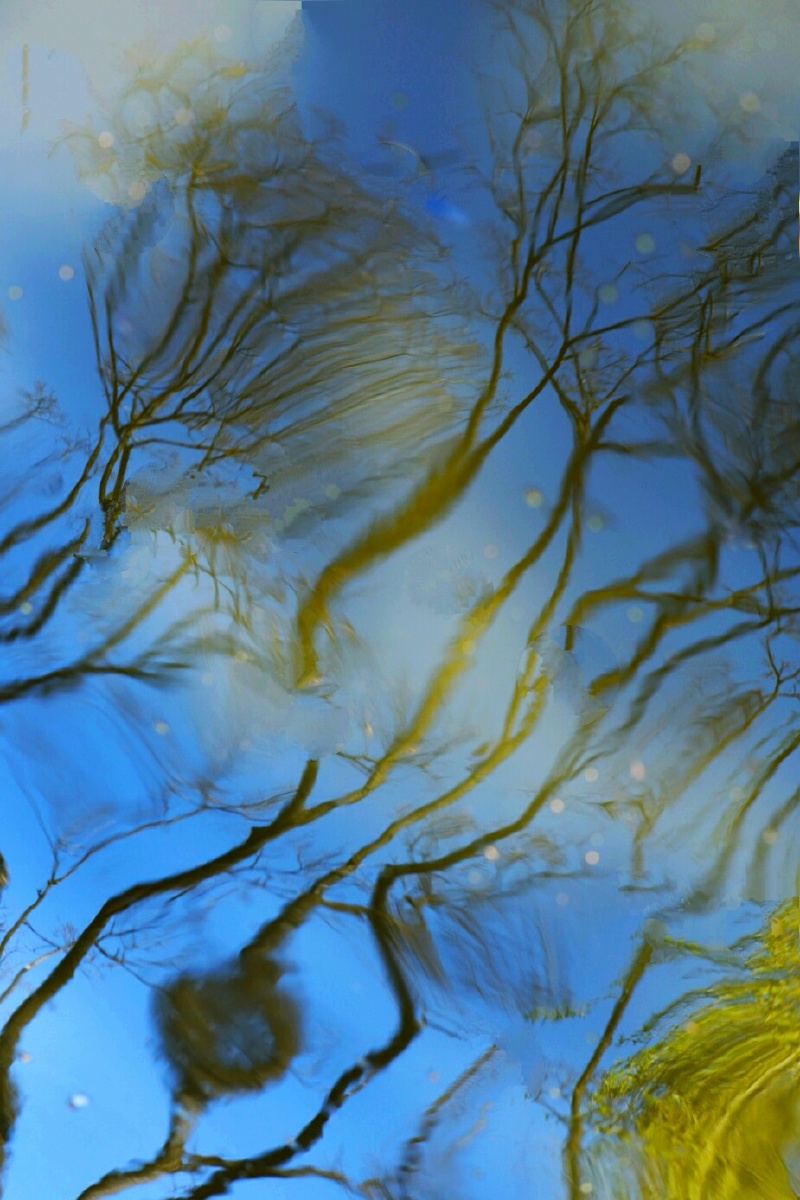 水中幻影美如画!