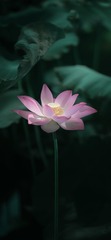 A316A396-57B1-45A7-897E-646DDD174BDF/L0/001