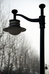 25497922.jpg