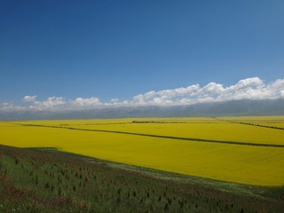 564328