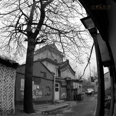07.jpg