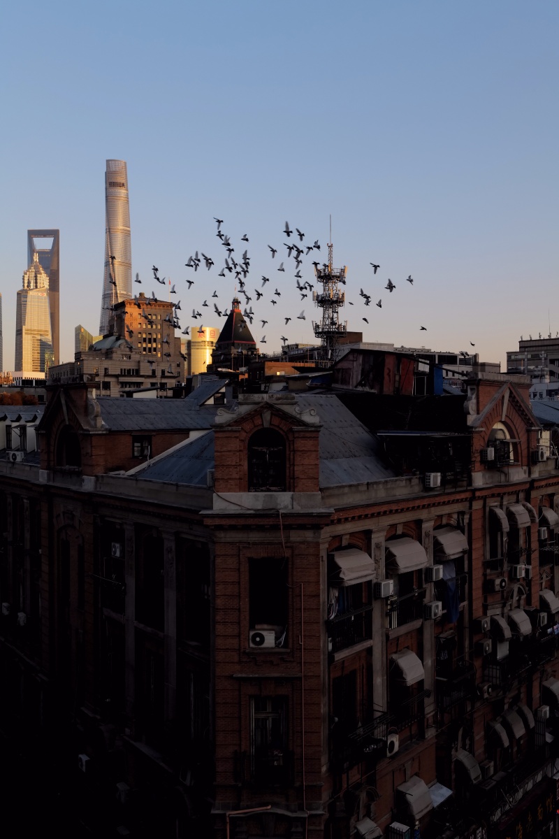 徕卡sl2适马247028