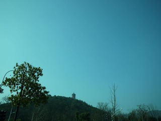 P1000599.JPG