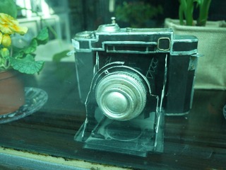 P1000607.JPG