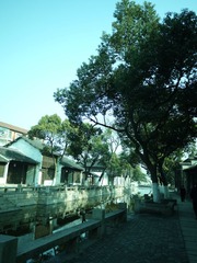 P1000624.JPG