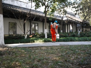 P1000693.JPG