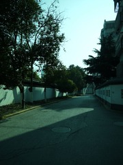 P1000704.JPG
