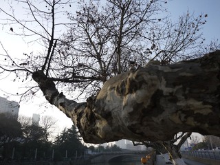 P1000747.JPG