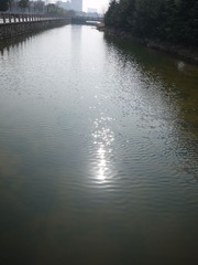 P1000800.JPG