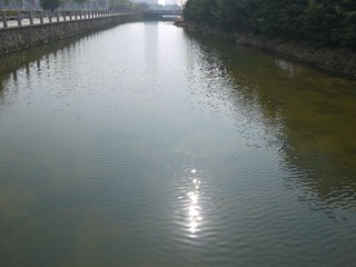 P1000803.JPG