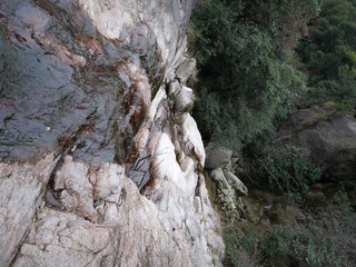 P1000845.JPG