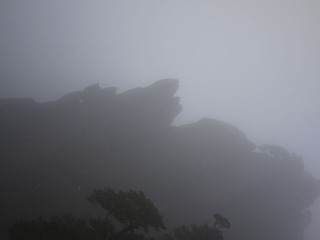P1000884.JPG