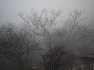 P1000891.JPG