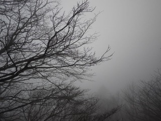 P1000898.JPG