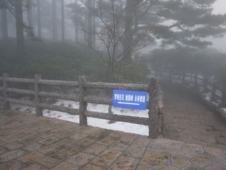 P1000901.JPG