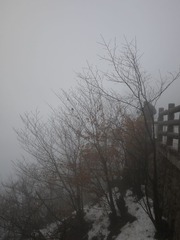 P1000903.JPG