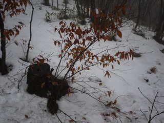 P1000907.JPG
