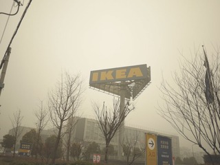 P1000910.JPG