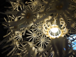 P1000924.JPG
