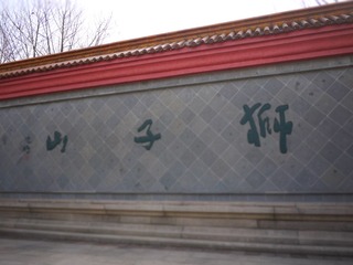 P1010021.JPG