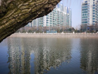 P1010029.JPG