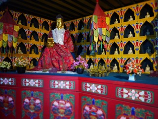 P1010043.JPG