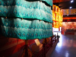 P1010044.JPG