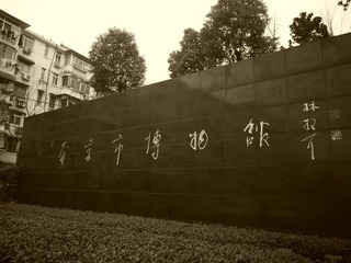 P1010053.JPG