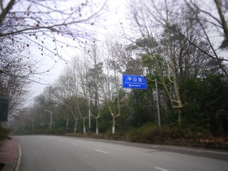 P1010064.JPG