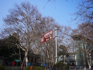 P1010168.JPG