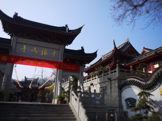 P1010169.JPG