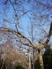 P1010129.JPG