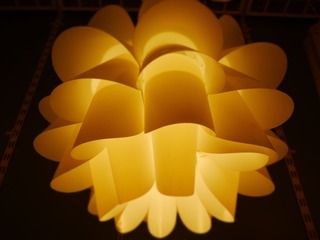 P1000926.JPG