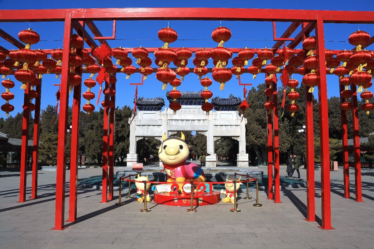 不放心  小心翼翼走<br />
西安园艺博览会