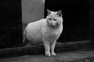 20110204-IMG_1602