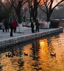 20110204-IMG_1614