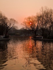 20110204-IMG_1617