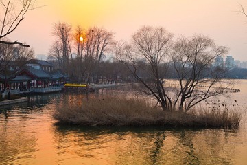 20110204-IMG_1623
