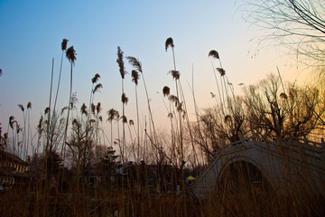 20110204-IMG_1626