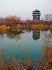 20110204-IMG_1639