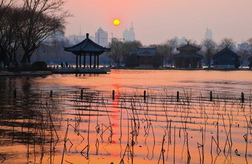 20110204-IMG_1641